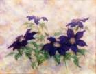 62 photo62_small.jpg